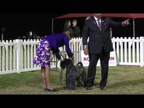 11Jun23 Points Score Final