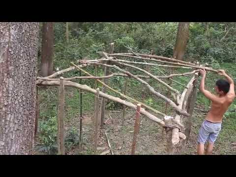 20   Days   Survival   And   Build   In   The   Rain   Forest     Full Video
