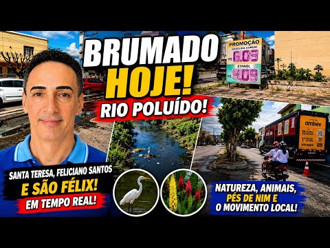 🌿 VEJA BRUMADO AGORA | Natureza, Rio Poluído e Mais Pés de Nim