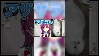 アザラシみたいな飼い猫の話をする天ヶ瀬むゆ【にじさんじ切り抜き/にじさんじ/天ヶ瀬むゆ/むゆち】#shorts