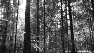 Monica Heldal - Follow You Anywhere