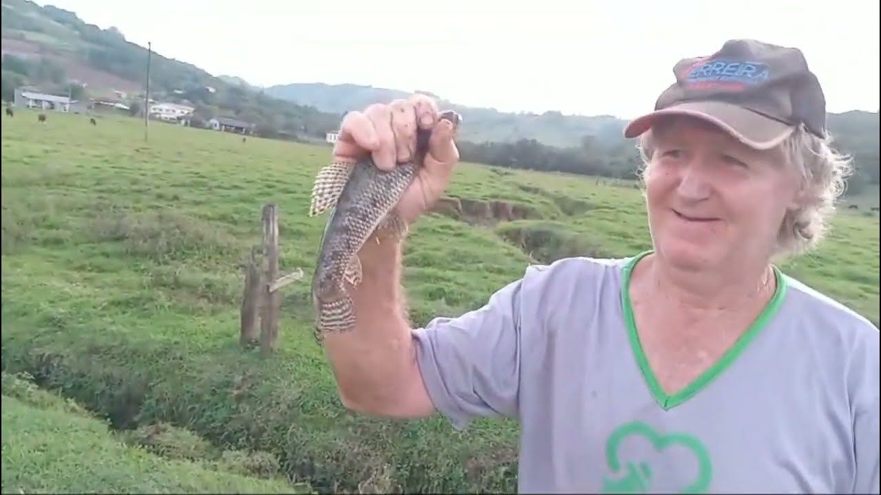 Sanga cheia de TRAÍRAS.#fishing #natureza #videoviral