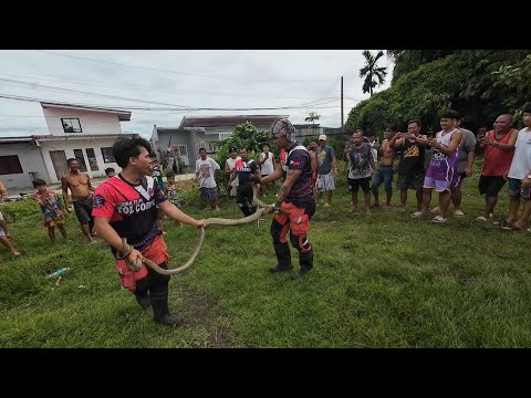 LANTARAN KUNG MAG PAKITA ANG KING COBRA #cobraprince