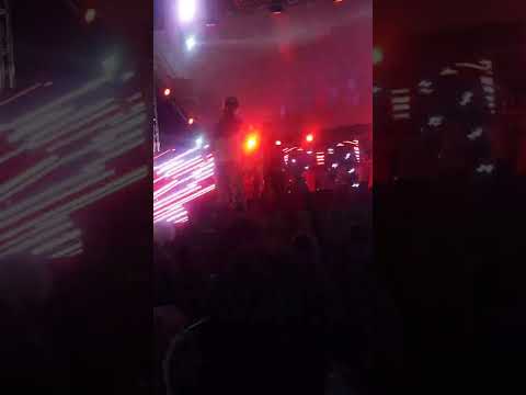 yomel el meloso-vamo pal bronx remix ft yailin,bulova,haraka,kiko,menor bronx,chimbala,lenser, live