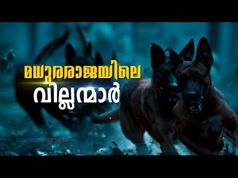 മധുരരാജയിലെ യഥാര്‍ത്ഥ വില്ലന്മാര്‍ ഇവിടെയുണ്ട്..  | Madhuraraja