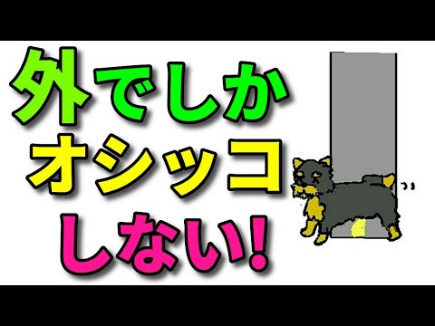 犬が室内で排尿しないようにするためのコツ