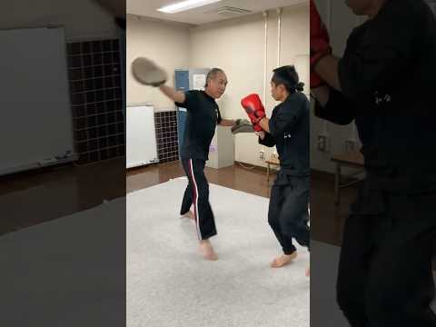 ローのフェイントからのブーメランフックを被弾する忍者