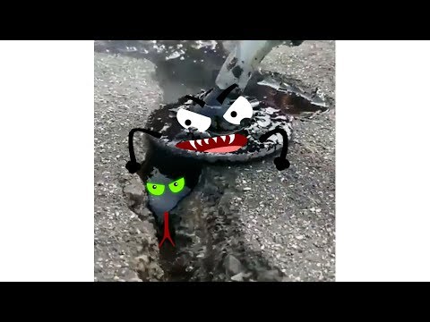 CHASING MOMENTS OF ANIMALS: Real Life Doodles Compilation 💖 💖 💖 DOODLES CITY #2