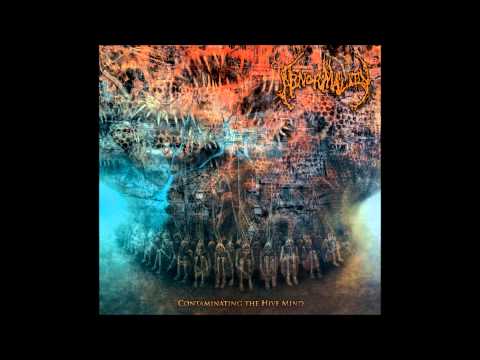 Abnormality - Monarch Omega (with lyrics)
