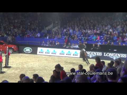 Donckervoort, Patrik Spits, CSI Mechelen 7yo Stallions, 27-12-2015