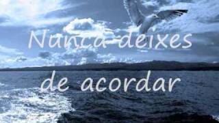 Gaivota Dos Alteirinhos Lyrics English Translation