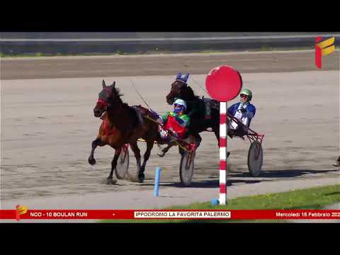 II corsa del 15 febbraio 2023 - 5 anni ed oltre Cat.F - Metri 1600