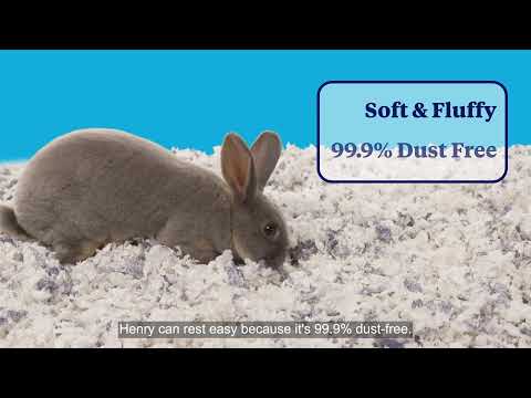 Kaytee Clean & Cozy Extreme Odor