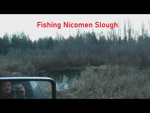 Fishing Nicomen Slough