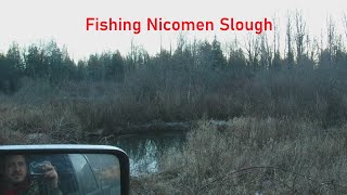 Fishing Nicomen Slough