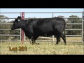 CCC Dec 201 Flv