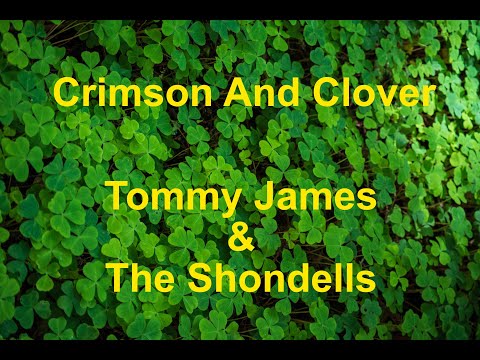Crimson And Clover  - Tommy James And The Shondells - with lyrics