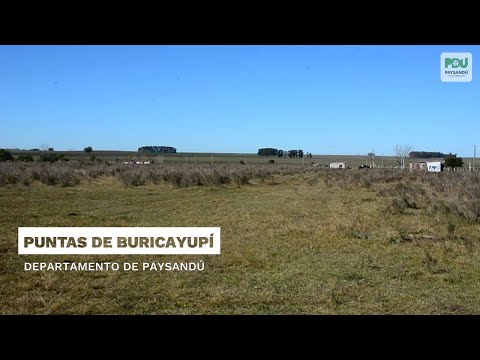 Puntas de Buricayupí