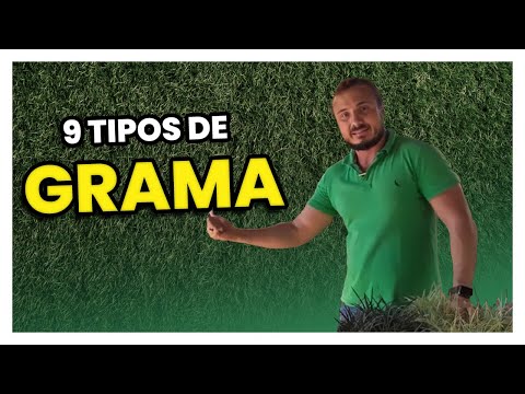 9 types of GRASS you NEED TO KNOW