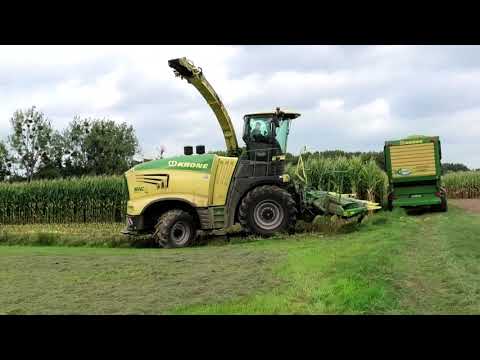 Maishäckseln 2023 mit Krone BIG X 780 OptiMaize und Krone EASY - COLLECT 903  Mais Vorsatz