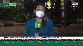 Miniatura do vídeo