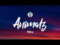 Nitro - Animalz (Testo/Lyrics) Nitro - Animalz (Testo/Lyrics)