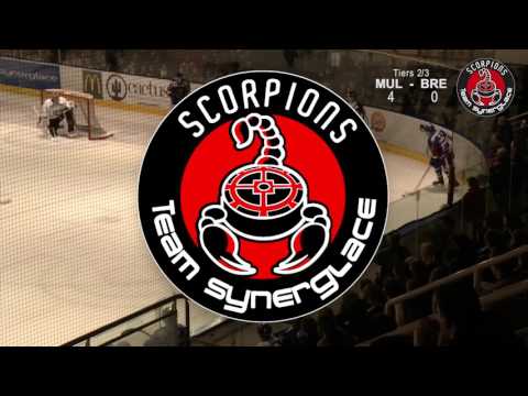 Scorpions de Mulhouse - Brest (25/02/2017) : Le résumé