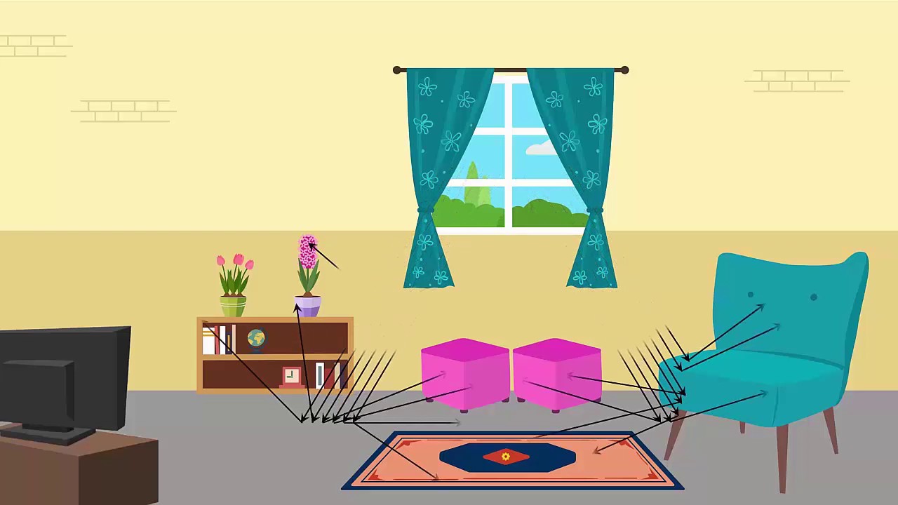 Difference Between Regular and Irregular Surfaces