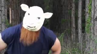 "Follow the Buzzards"