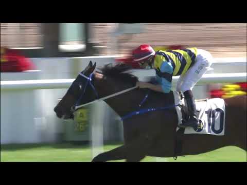 26/12/2020 (297) Green Envy-  J Moreira