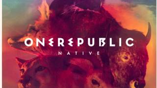 OneRepublic - Counting stars (Party Fowl! Remix)