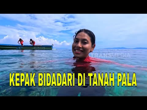 [FULL] KEPAK BIDADARI DI TANAH PALA | JEJAK PETUALANG (29/01/26)