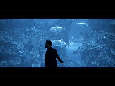 Gianluca Capozzi -  Ho Fatto un sogno - (Video Ufficiale)