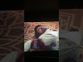 Sakib Khan Borbaad Movie Shorts Shortvideo Viralvideo