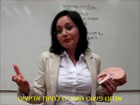 שחרור ממאכלים משמינים thumbnail