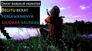 preview picture of video 'Mancing dapat ikan babon dan monster || Fishing can be big fish and monsters'