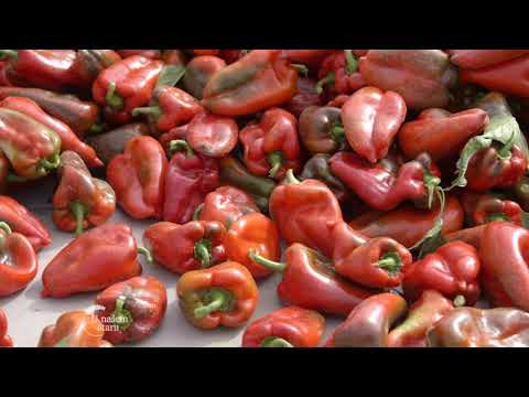 U našem ataru ep.75 08.10.2017.