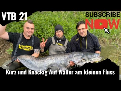 VTB// 21 Kurz und Knackig auf Wels mit Erfolg