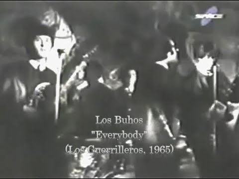 Los Buhos - Everybody (Los Guerrilleros)