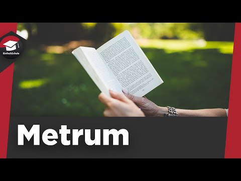 Meter explained simply - What are the different types and how are they determined? Meter summary!