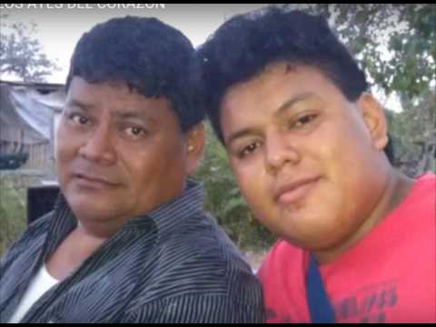 HILTON SILVA-NUESTRO HIJO