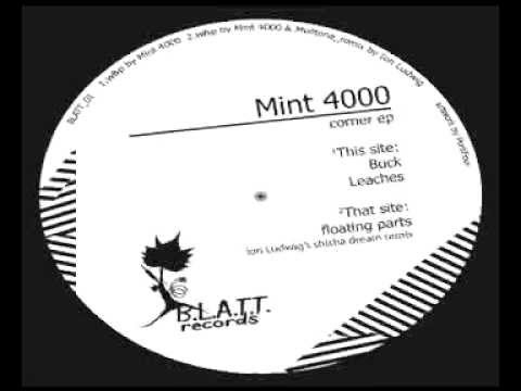 Mint 4000 & MullTone -  FloatingParts - Ion Ludwig remix