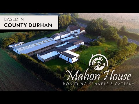 Mahon House Boarding Kennels & Cattery