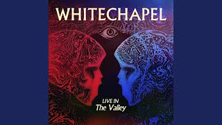 The Saw Is the Law (Live)