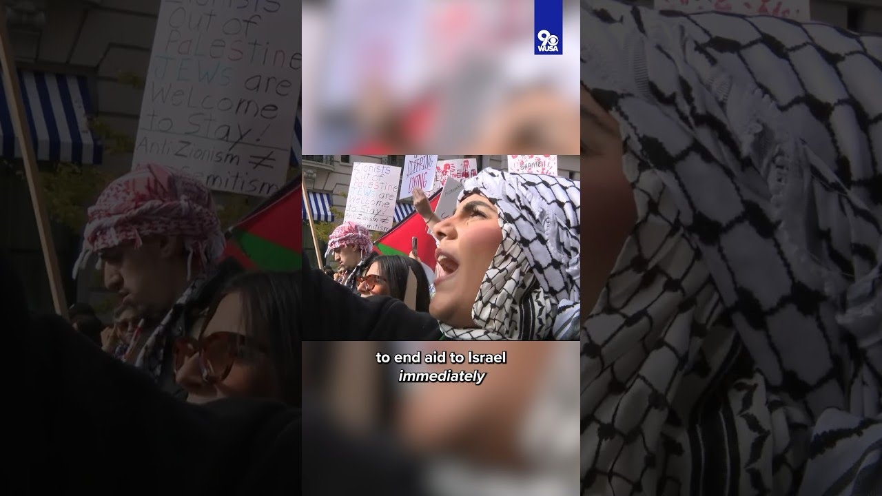 Thousands Protest in DC for Gaza Ceasefire, Direct Rage at Biden