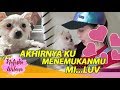 AKHIRNYA AKU MENEMUKANMU Mi....luv AKHIRNYA AKU MENEMUKANMU Mi....luv