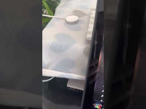 B&W 805 D3 DSD playback exposure amplifier 3510 chord Hugo tt2