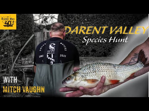 Die Artenjagd im Darent Valley – Wir konnten nicht GLAUBEN, was wir gefangen haben! | Ein Tackle ...