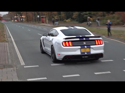 Supercars Accelerating! Shelby GT350, Aventador SV, Novitec F12, SLS AMG Akrapovic, iPE GT3 RS
