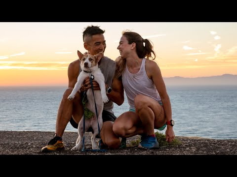 We Found And Adopted A Stray Puppy | Meet Charlie (Salami).